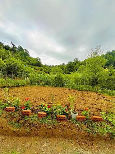 bine atciliq torpaq satilir: 50 kv. m, 2 otaqlı, Qaz, İşıq, Su — 2