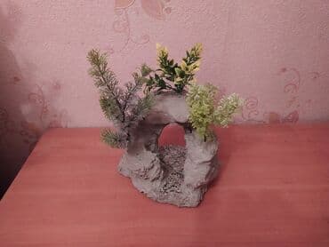 suda yaşayan heyvanlar: Akvarium dekorları — 5