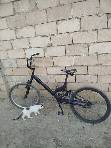mini velosiped: Şəhər/ətraf ərazilərdə rahat gediş üçün tək sürətli velosiped. Əsas — 4
