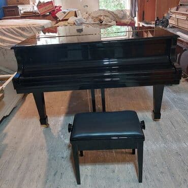 piano petrov: Royal Yeni Münasib qiymətə. Cadrılma və köklənmə qiymətə daxildi — 2