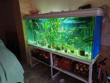 bmw 1 серия 114i mt: Вместе с рыбами, 780 л, Самовывоз — 2