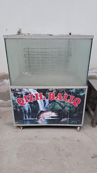 akvaryum baligi: SEVA Xirdalan Balıq saxlamaq üçün müxtəlif sayda və ölçüdə — 1