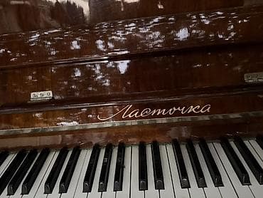 İdman və hobbi: Upright pianino – “Lastoçka” (Ласточка) Bir dənə problemi yanında bir — 2