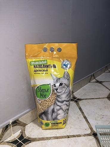 pitbul balaları: Pişik tualeti dəsti - Açıq tipli, ikiqat divarlı pişik tualet qabı — 1