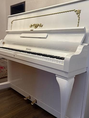 musiqi aleti: Piano, Rönisch, Akustik — 2