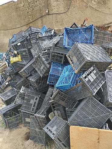 Məhsul: Plastik yığım və daşınma yeşikləri (qəfəslər) Təsvir: -