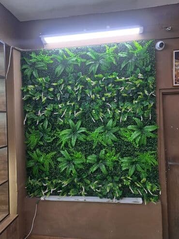 taxda kubu: Taxta — 6