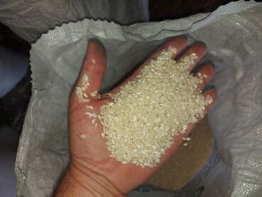 Şirniyyat məhsulları: Məhsul: Ağdaş düyüsü. Öz kəndimizin məhsuludur. Ağdaş rayonu Ləki — 6