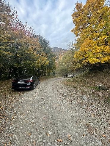 rayonlar: Zaqatala rayonu, Car kəndində torpaq sahəsi satılır 📍 Sakit və — 6