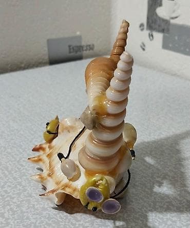 profil sekilleri oglan: Fiqur — 3