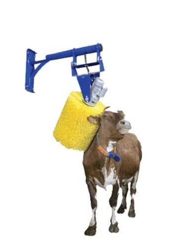 Kənd təsərüfatı heyvanları üçün digər mallar lalafo.az -da Kənd təsərüfatı heyvanları üçün digər mallar