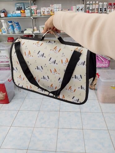 pişik itib: Fars, Erkək, Yaxşı əllərə, Ödənişli çatdırılma — 6