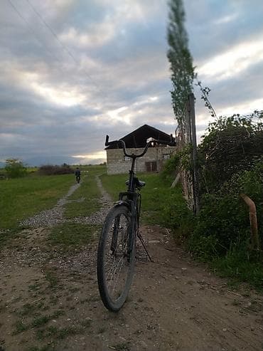 velospet: Şəhər və kənd yolları üçün klassik tək sürət velosiped - Rəng: qara - — 3