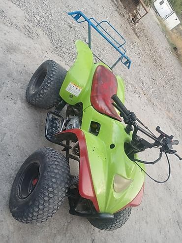 Motonəqliyyat: ATV (kvadrotsikl) – benzin mühərrikli, 4 təkərli - Rəng — 3