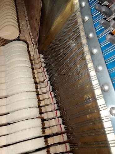 Gitaralar: Piano, Akustik — 5