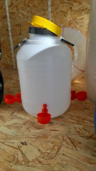 hinduska cucesi: Yem qabı, Su üçün, Quşlar üçün, Ünvandan götürmə, Ödənişli çatdırılma, Rayonlara çatdırılma — 1