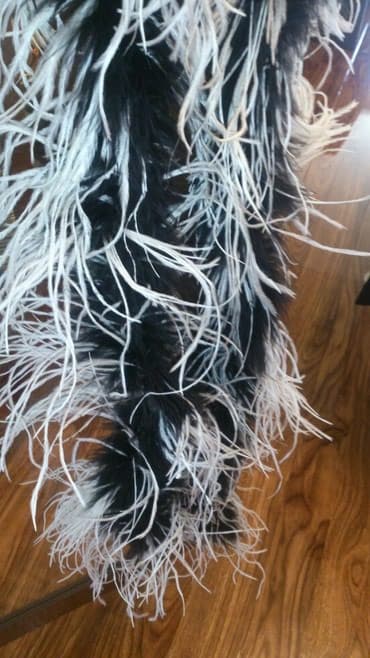 Костюмы: Пух страуса — 3