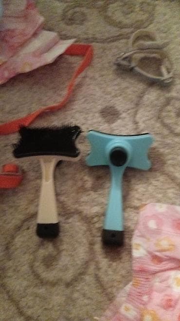 heyvan evi: Pekines — 6