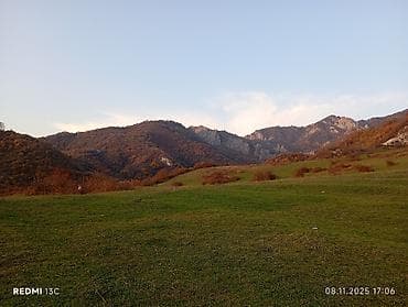 i̇ş elani: Bağban, 50 yaş, 3-5 illik təcrübə — 1