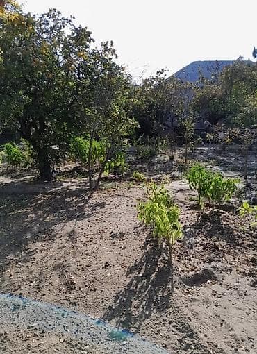 torpaq yeri: 4 sot, Tikinti, Mülkiyyətçi, Kupça (Çıxarış) — 2