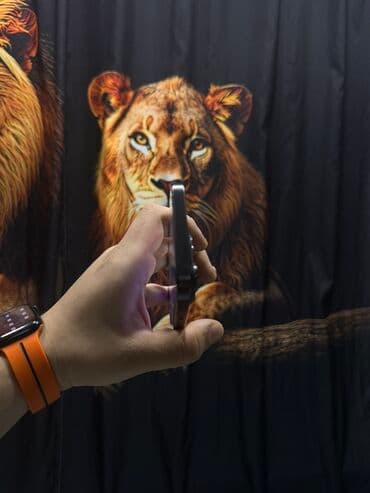 iphone 17 qiyməti: IPhone 15 Pro Max, 256 GB, Graphite, Simsiz şarj — 6