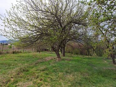 əmircan torpaq: Для сельского хозяйства — 2
