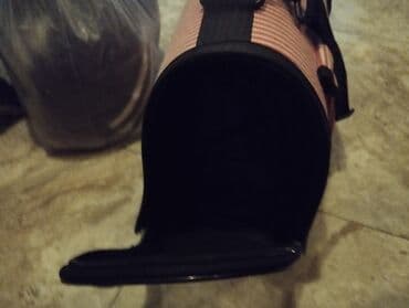 pişik adı: Britan, Dişi, Yaxşı əllərə, Ünvandan götürmə — 5