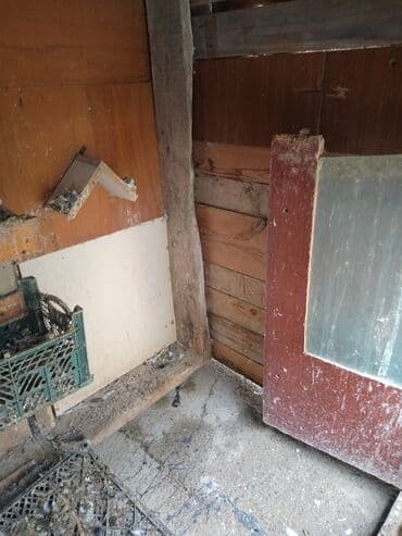 göyercin yuvası: Quşxana dekor taxtalardan yığılıb. Eni 1.08 uzunu 1.85 — 6