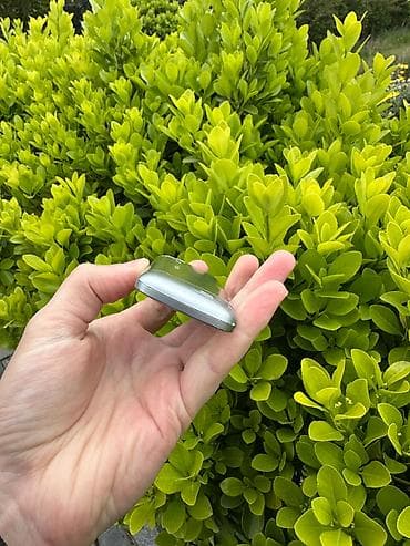 nokia 311: Nokia C3 — 4