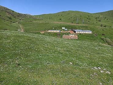 bine savxoz ev: 105 sot, Kənd təsərrüfatı, Mülkiyyətçi, Kupça (Çıxarış) — 10