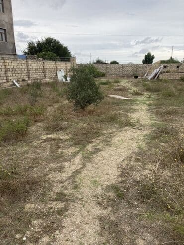 turkanda: Turkanda 20 sot torpag, 1 mertebeli ev, 3 otagli, qizil qum — 5