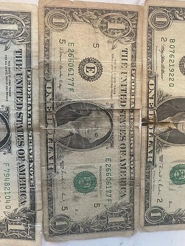 dollar buketi: 1 Dollar, 1995 il, Vəziyyəti: Qənaətbəxş — 2