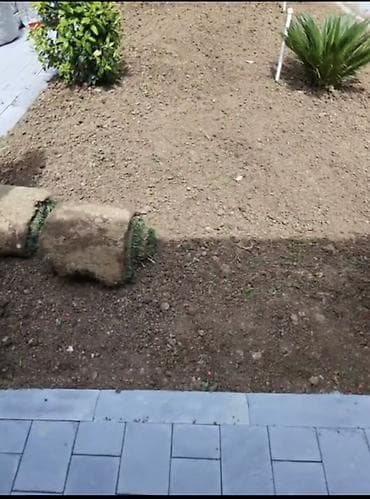 Ландшафтные работы: Qazon və landşaft abadlaşdırılması xidməti - Həyətyanı sahələr, bağ — 10