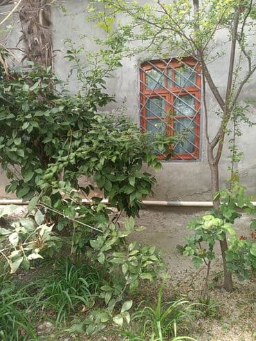 meyve tərəvəz: RT Arxasında körpüdən sağda 2 ci küçədə 2 mərtəbəli 8 otaqlı həyət evi — 29