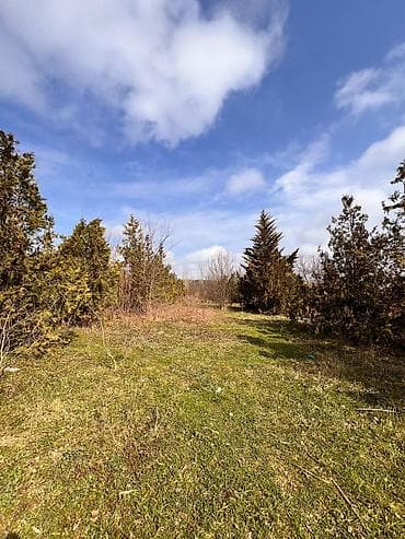 Mənzillər: Kənd təsərrüfatı — 9