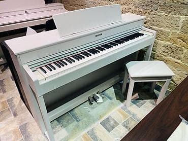 elektron gitara satisi: Çin istehlası olan Mayga elektro pianolara böyük endirim. Polifoniya — 1