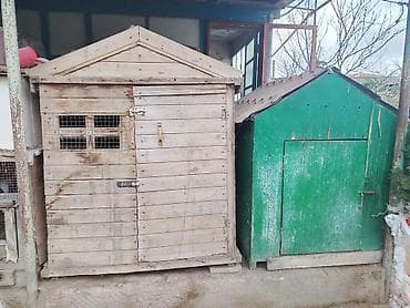 Salam her iksi satilir tecili 170 manata ikisi bir yerdə unvan at lalafo.az Salam her iksi satilir tecili 170 manata ikisi bir yerdə unvan