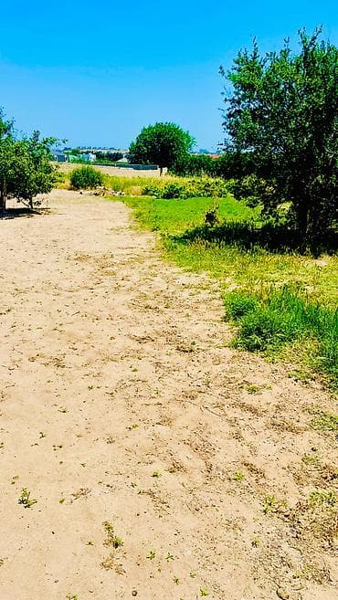 Daşınmaz əmlak: 12 sot, Tikinti, Kupça (Çıxarış) — 1