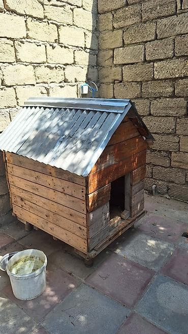 Taxta it evi - Material: qalın taxta lövhələrdən yığılıb, iç və dış