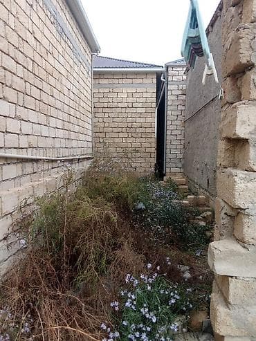 havuzlu ev: Satılır: həyət evi 1 otaq - Plan: 1 mərtəbə, eyvanlı giriş. Ön — 8