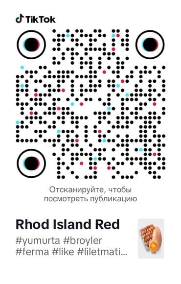 yumurta hinduşka: 100% mayali yumurtalar Rhod Island Red toyuqlar. Bu cins toyuqlar həm — 7