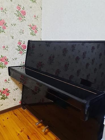 pian: Piano ela veziyyetde. 2 pedaldi. Her bir seyi ela veziyyetdedir. Unvan — 4