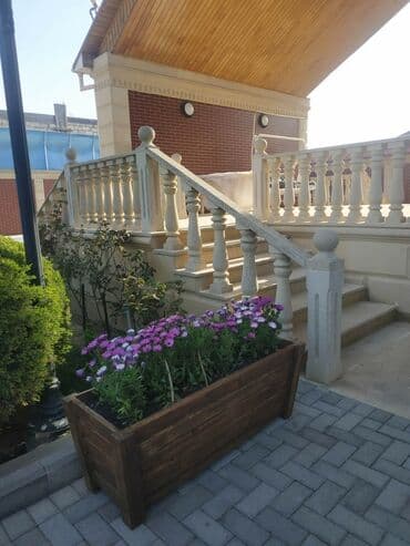 dibcək qablarının satışı: Dibçək güldanlar. Dipçəklər bir başa sexdən.Sex qiymətinə. ♦️Endrim — 5