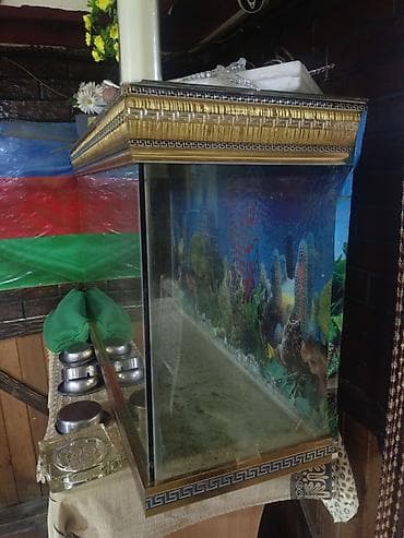 akvariumlar: Salam. Akvarium satılır. Uzunluğu 1 metr, hund. 0.70 — 2