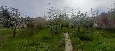 torpa: Tikinti, Kupça (Çıxarış) — 6