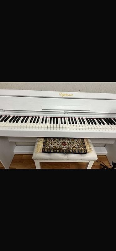 akustik gitara simi: Euphonia rəngli ağ rəqəmsal piano - Tam ölçülü 88 klaviş – klassik — 1