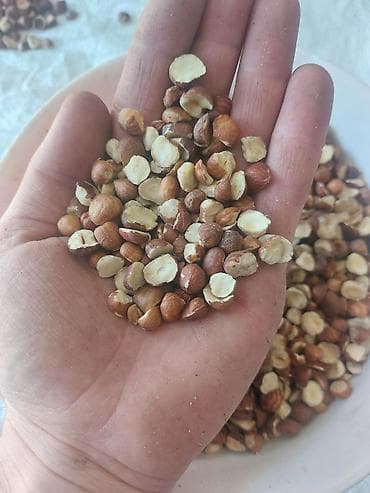 tap az generator satilir: Findiq Lepesi (Palavinka-11-13 ləpədən bölünən) şirniyat üçün çox — 2