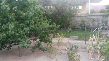 dübəndi torpaq: 10 sot, Tikinti, Makler, Kupça (Çıxarış) — 8