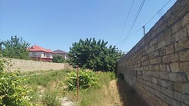 şəkidə torpaq: Torpaq sahəsi – Qurd Dərəsi - Ölçü: 4 sot - Məkan: Qurd Dərəsi — 1