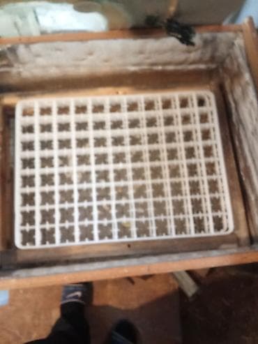 İnkubatorlar: 176yumurtalq inkubator çox yaxşı çıxış verir — 2